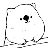 贝小果