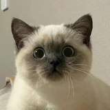 抱歉你谁