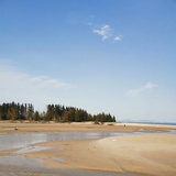 远岫