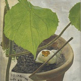 立不住